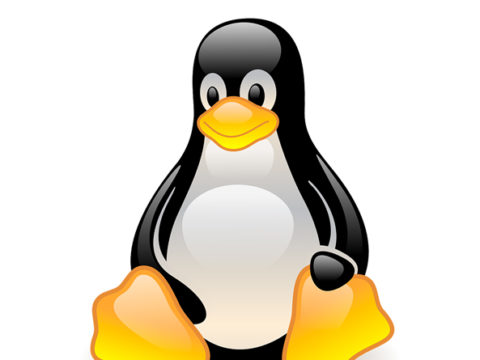 Linux / Unix – Programmation Shell